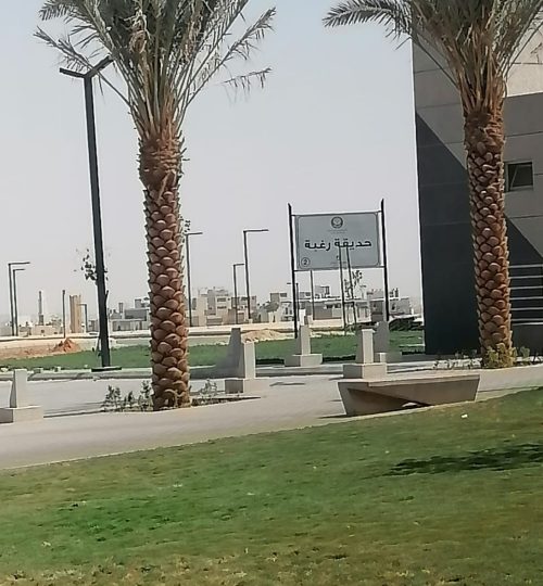 جميع انواع النخيل البلدي والوشنطونيا